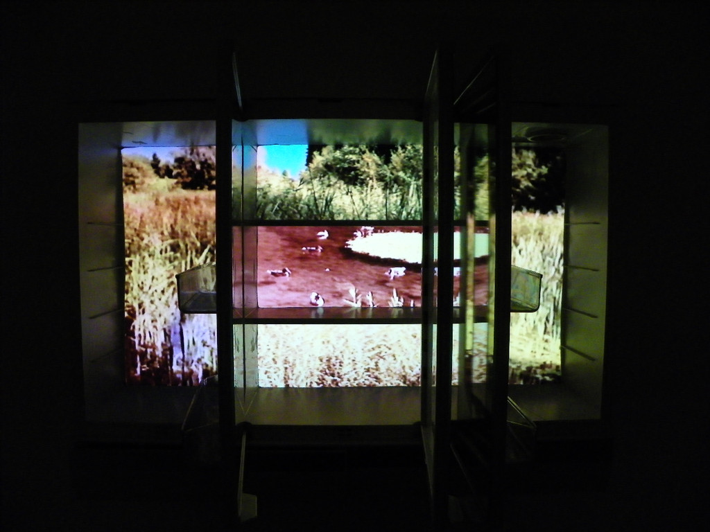 109_7046_JPG-1301843430