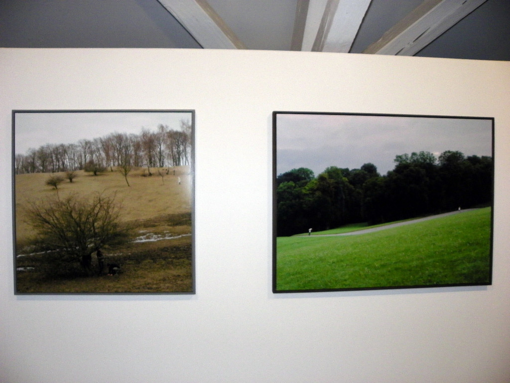 109_7049_JPG-1301843444