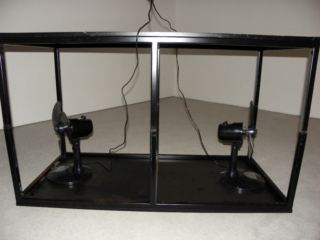 109_7050_JPG-1301843451