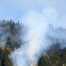 Waldbrand Schruns03.jpg
