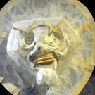 109_8936_JPG-1301847173