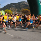 DSC_3155_JPG-1301852068