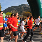 DSC_3159_JPG-1301852070