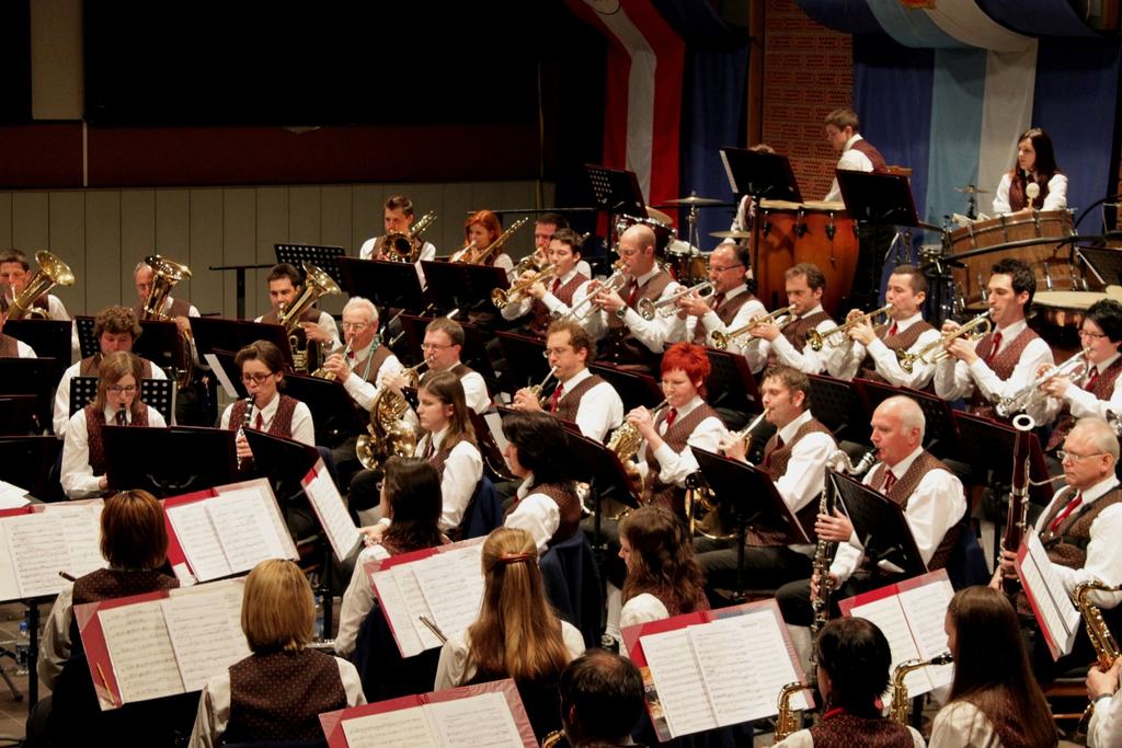 MV Lochau Konzert 2010 _5__jpg-1301854287