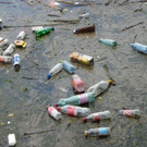 104_3104_jpg-1301855391