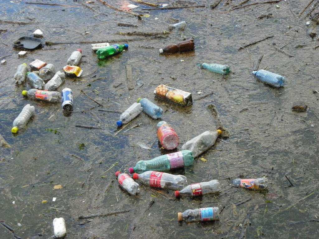 104_3104_jpg-1301855391