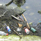 109_3833_jpg-1301855236