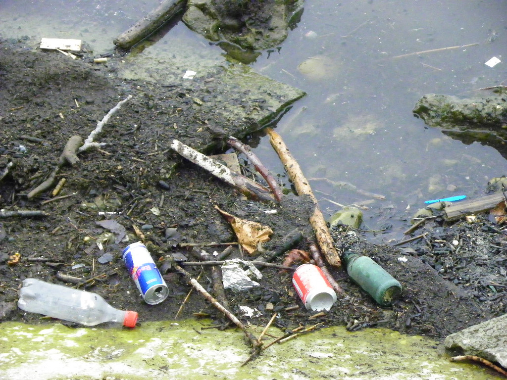 109_3833_jpg-1301855236