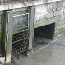 109_3832_jpg-1301855229