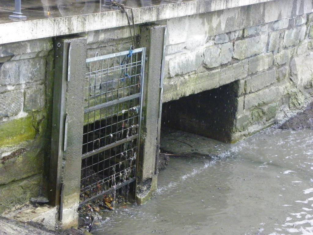 109_3832_jpg-1301855229