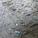 104_3107_jpg-1301855399