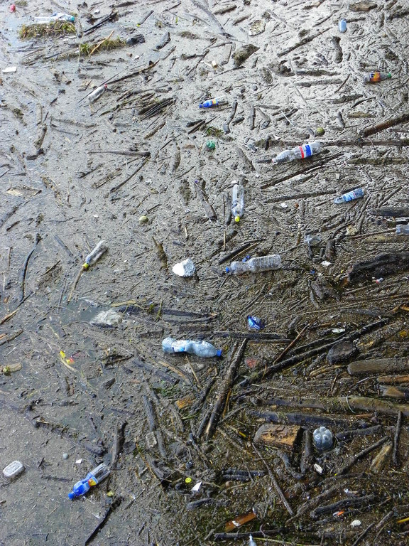 104_3107_jpg-1301855399