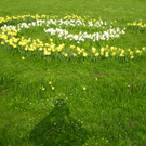 101_5915_jpg-1301855419