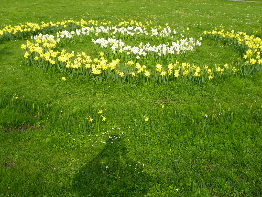 101_5915_jpg-1301855419