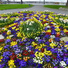 101_5982_jpg-1301855407