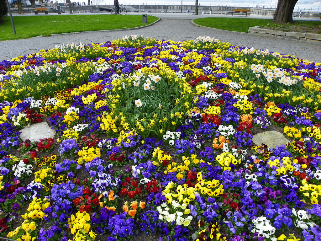 101_5982_jpg-1301855407