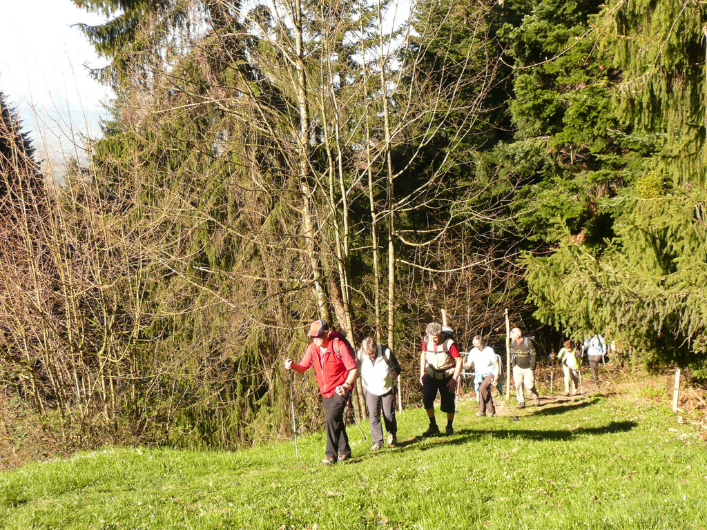 P1080511.JPG