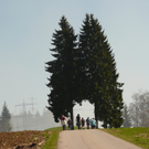 P1080538.JPG