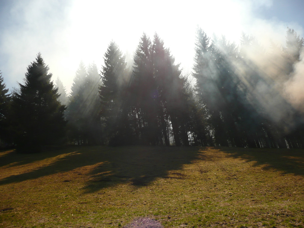 P1080569.JPG