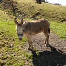 P1080574.JPG