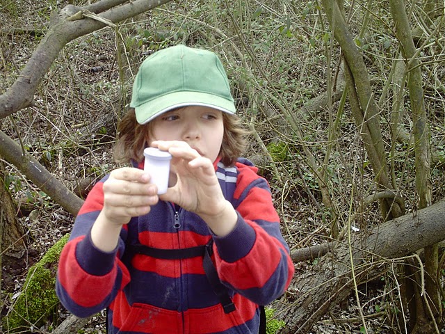 PICT0139_JPG-1301859787