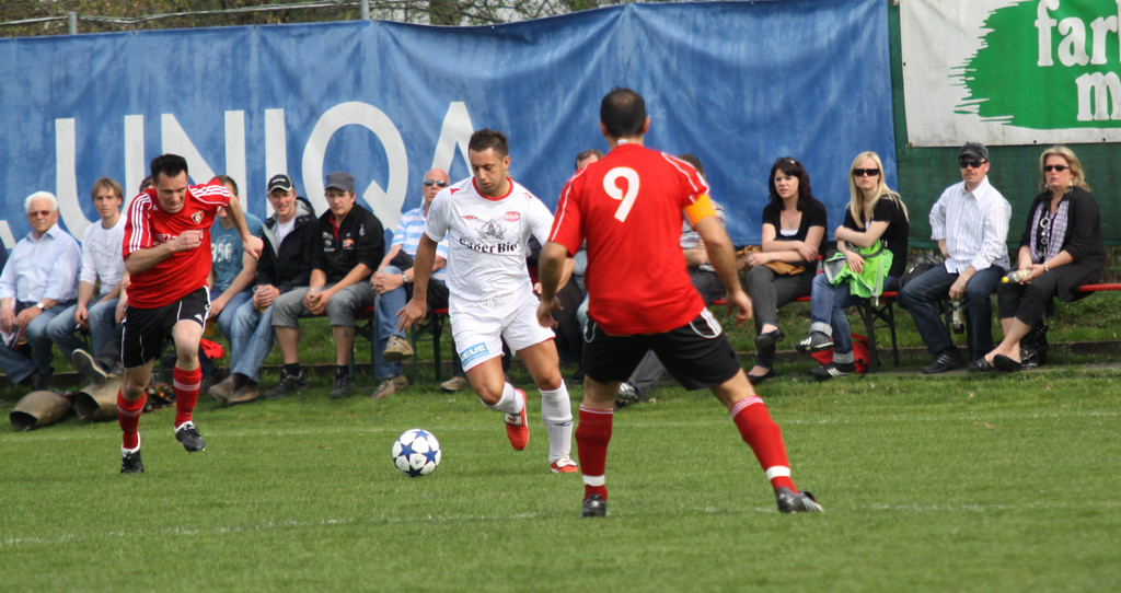 Maeder - Egg  2011 037_jpg-1301861930