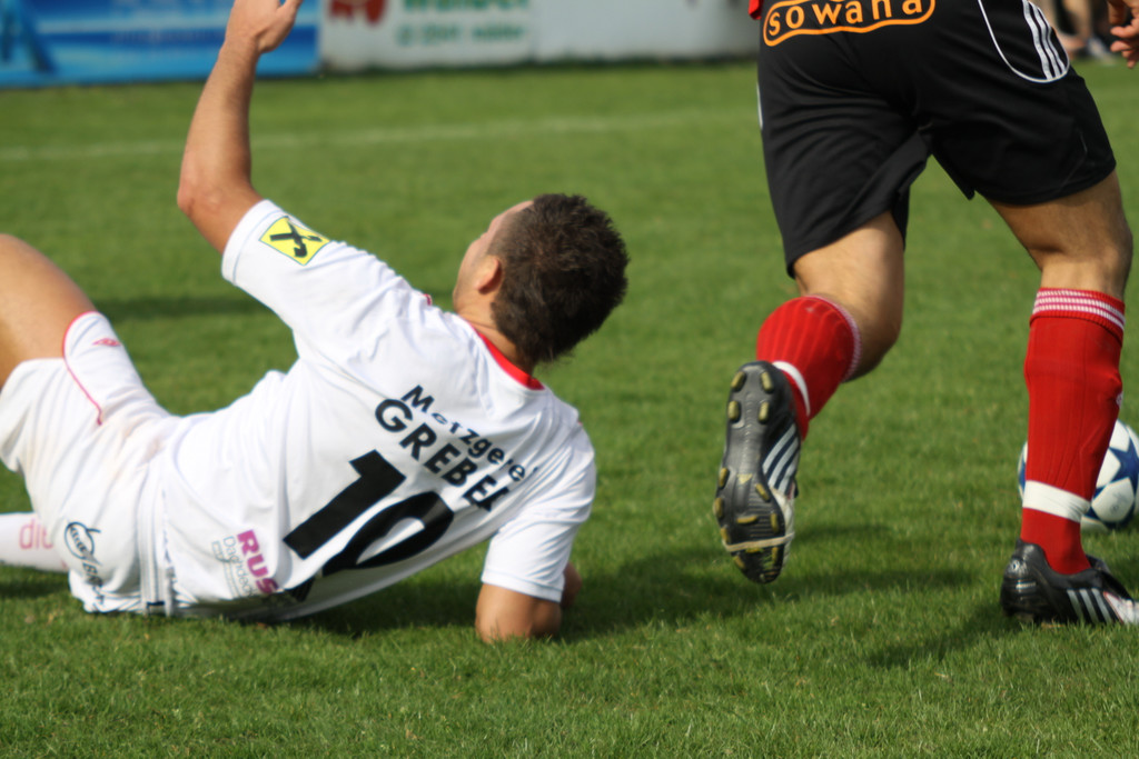 Maeder - Egg  2011 096_jpg-1301862096
