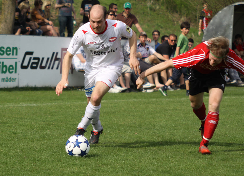 Maeder - Egg  2011 109_jpg-1301862212