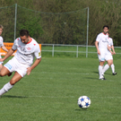 Maeder - Egg  2011 126_jpg-1301862255