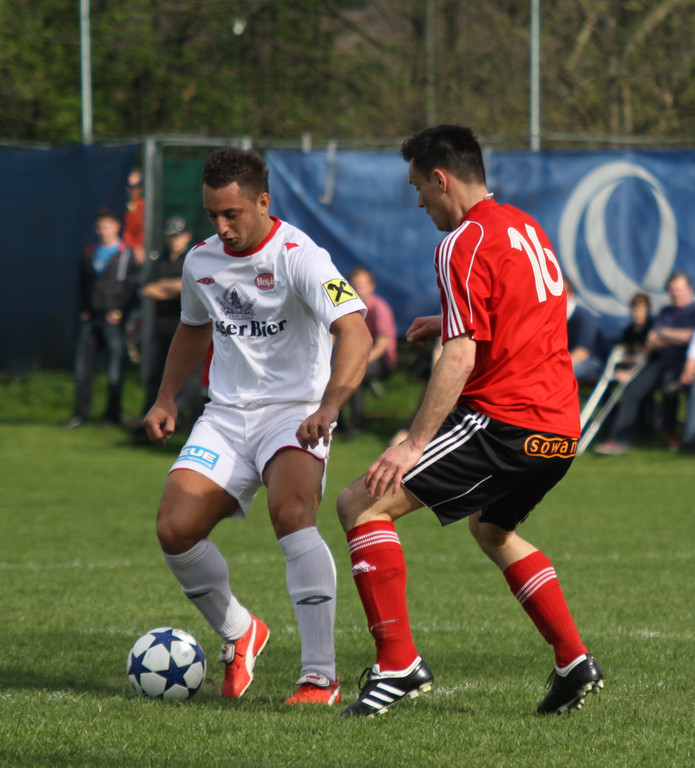 Maeder - Egg  2011 139_jpg-1301862326