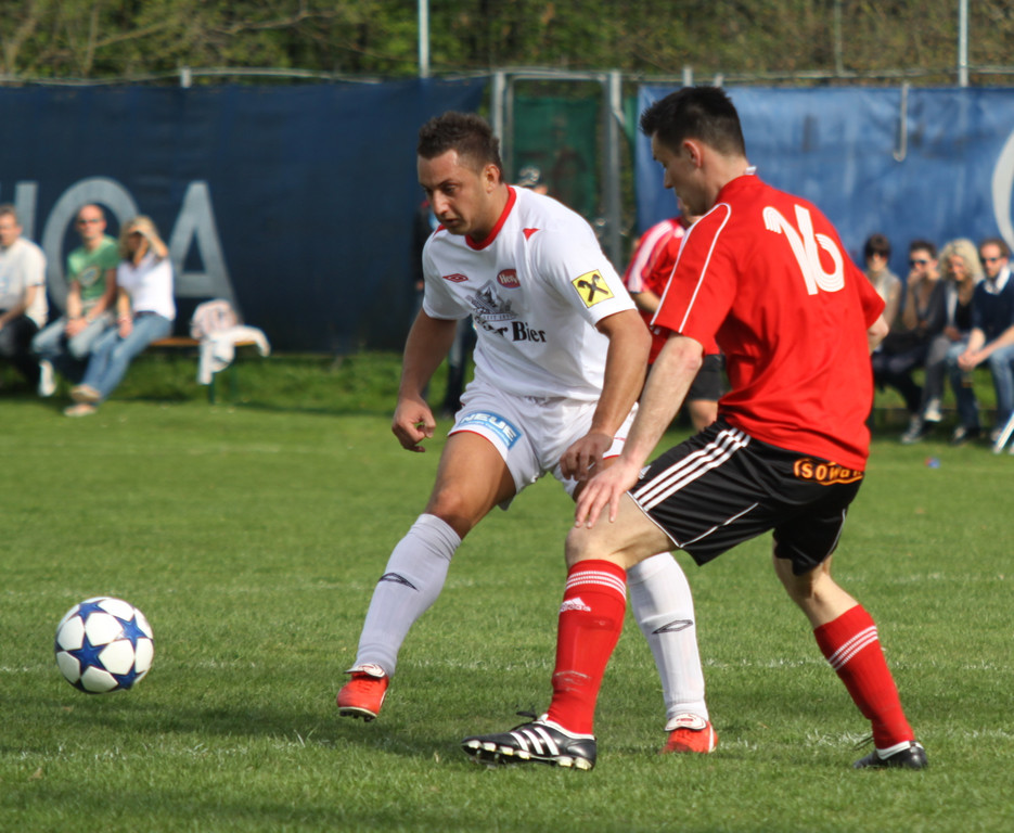 Maeder - Egg  2011 140_jpg-1301862348