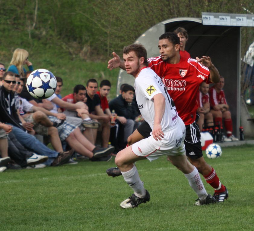 Maeder - Egg  2011 290_jpg-1301862658