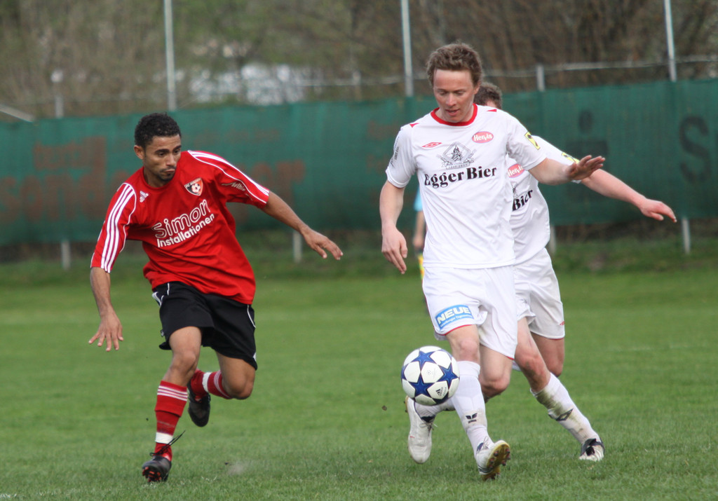 Maeder - Egg  2011 316_jpg-1301862720