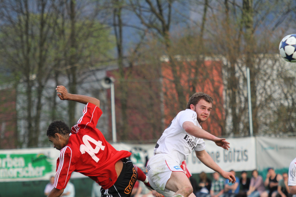 Maeder - Egg  2011 362_jpg-1301862779
