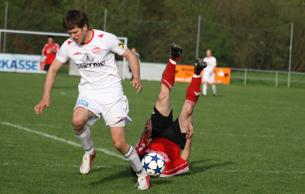 Maeder - Egg  2011 404_jpg-1301862840