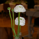 mini-bea_JHV_Kirchenchor_Frastanz 027_jpg-1301862056