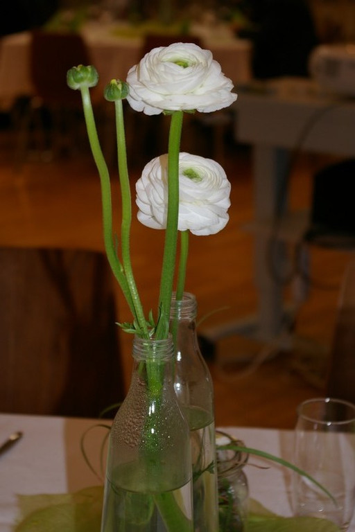 mini-bea_JHV_Kirchenchor_Frastanz 027_jpg-1301862056