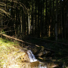 bea_Geschiebebecken_Satteins 002_jpg-1301863838