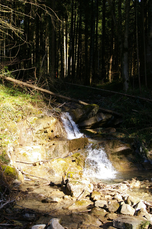 bea_Geschiebebecken_Satteins 002_jpg-1301863838