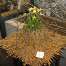 DSC_1113.jpg