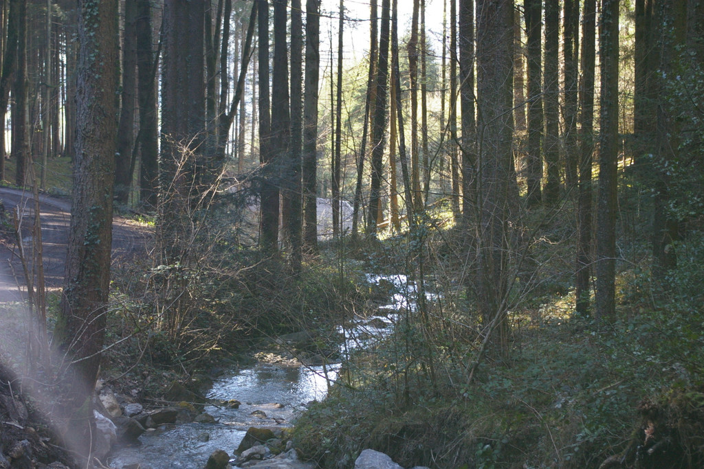 bea_Geschiebebecken_Satteins 010_jpg-1301864760