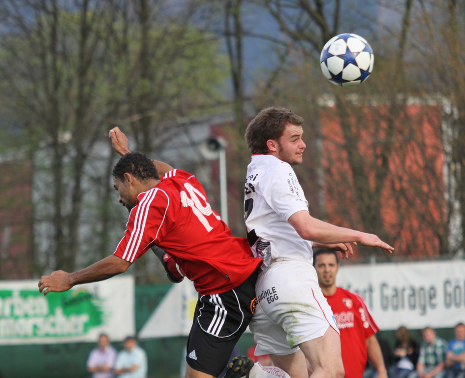 Maeder - Egg  2011 361_jpg-1301866063