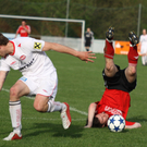 Maeder - Egg  2011 405_jpg-1301866106