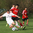 Maeder - Egg  2011 411_jpg-1301866126