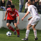 Maeder - Egg  2011 451_jpg-1301866248