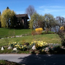 IMG_0356.jpeg