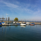 photo1_5.jpg