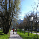 photo3_5.jpg