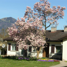 Frühling in Feldkirch