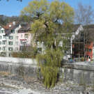 03_JPG-1301894988